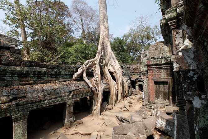 Angkor Wat & Small Tour with Bonteay Srei Temples - Value for $38: where the money goes and why private matters