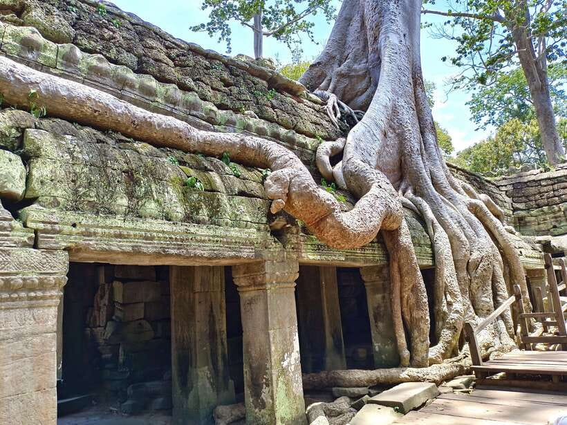 Angkor Wat: Sunrise 2.5 Days with Tonle Sap Lake Tour - What to bring, and how to dress for Angkor sites