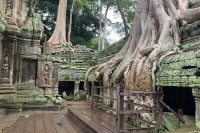 Angkor Wat Sunrise and Tonle Sap Cruise Sunset Tour - Angkor Wat Sunrise: East Gate to West Gate in the Right Light