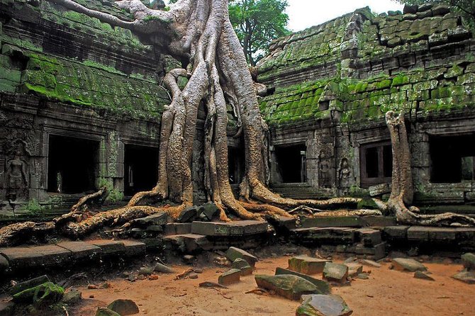 Angkor Wat Sunrise and Tonle Sap Lake 1.5 Days - Price and pass math: what $59 really covers