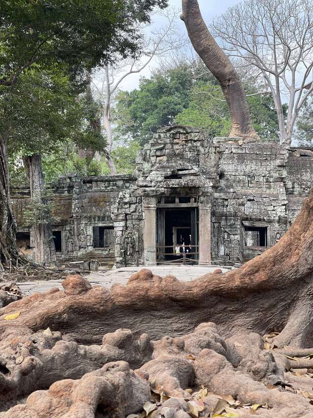 Angkor Wat Sunrise Private Full Day Tour - Bayon Temple: stone faces, and why your pacing matters
