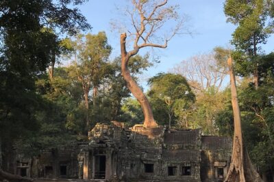 Angkor Wat Sunrise Private Tour by Vintage Jeep - Angkor Wat Sunrise: The Moment You Remember