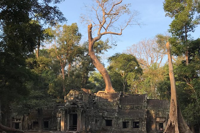 Angkor Wat Sunrise Private Tour by Vintage Jeep - Angkor Wat Sunrise: The Moment You Remember
