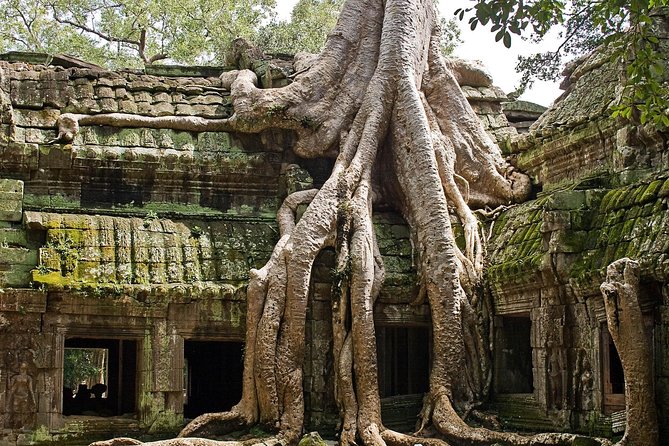 Angkor Wat Sunrise & Small Circuit Tour - Sunrise Over Angkor Wat: Why the 4:30am Start Matters