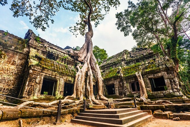 Angkor Wat, Ta Promh, Banteay Srei, Bayon temples Private Tour - Angkor Wat: symmetry, bas-reliefs, and why it’s the first stop