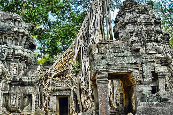 Angkor Wat Temples & Kulen Elephant Forest Day Tour - Ta Prohm Jungle Temple: Where Roots Take the Stage