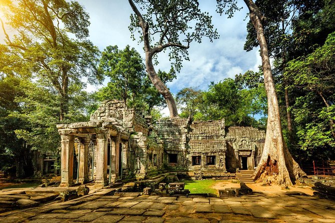 Angkor Wat Temples Tour with Entrance Ticket and Lunch - Ta Prohm and the tree roots: ruins with a wild personality