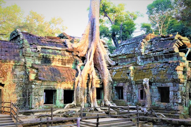 Angkor World Heritage with Sunrise - Small Group - Angkor Thom South Gate: a grand threshold before you go deeper