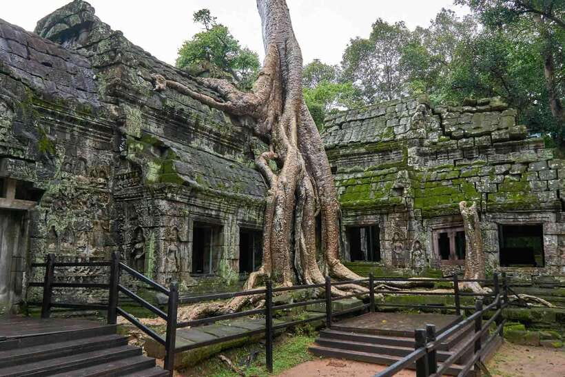 Angkor Zipline and Temple Tour with Sunset - Ziplining Over the Jungle: The Angkor View From Above