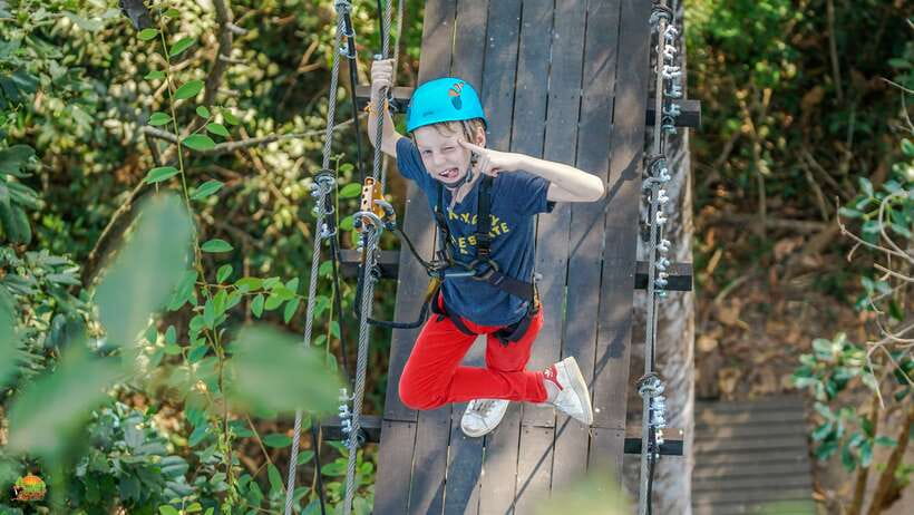Angkor Zipline Eco-Adventure Canopy Tour - Key Things I’d Focus On Before You Go
