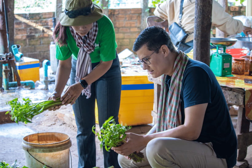Authentic Siem Reap: Tuk Tuk Countryside and Sunset Tour - Rice wine distillation: why fermentation fits into farm life