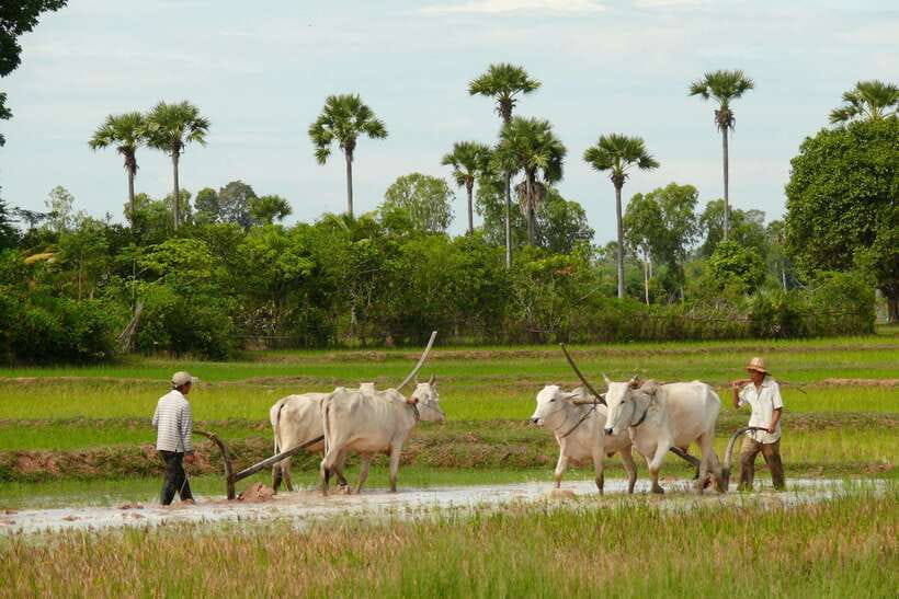 Back to Basics: Siem Reap Village Tour in Cambodia - A village tour that starts with the right attitude