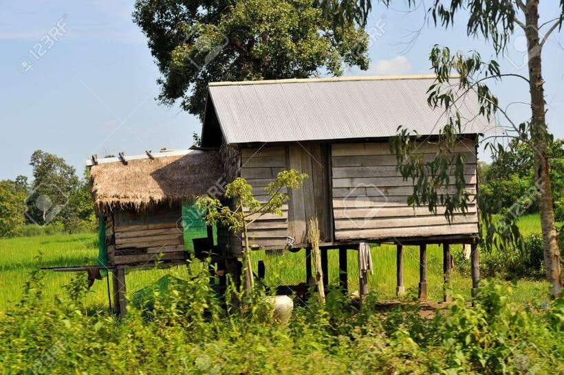 Back to Basics: Siem Reap Village Tour in Cambodia - What you’ll do in the village: baskets, wells, and rice wine
