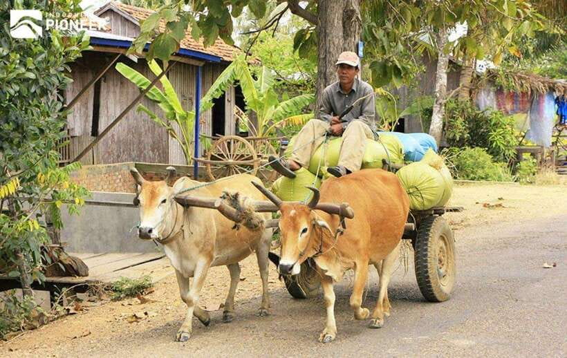 Back to Basics: Siem Reap Village Tour in Cambodia - Should you book Back to Basics in Siem Reap?