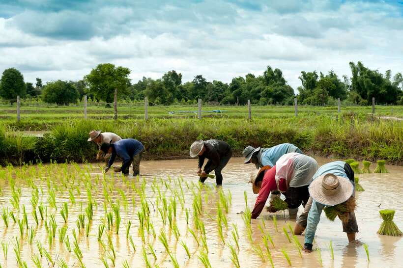 Back to Basics: Village Life Tour from Siem Reap - Key things to know before you go