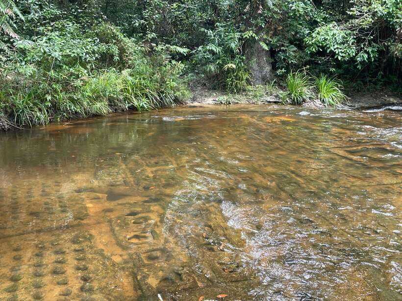 Banteay Srei, Kulen Waterfall & Beng Mealea Small-Group Tour - Price and What You’re Really Paying For at $51