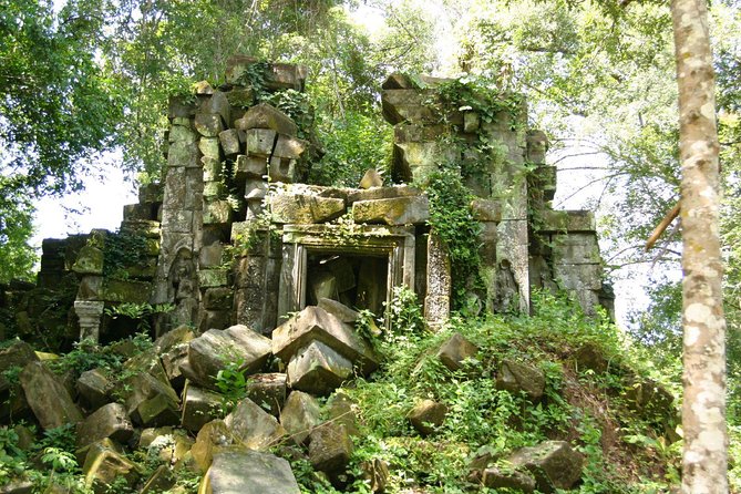 Beng Mealea Temple Private Day Tour - The English-speaking guide: helpful context, but watch your patience