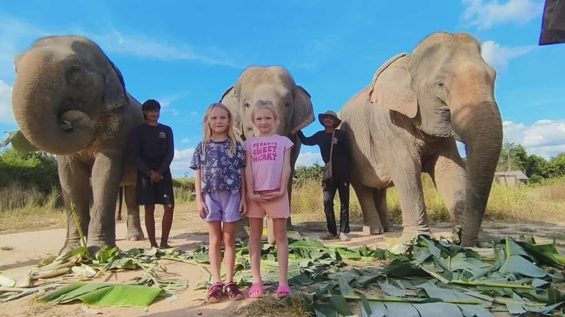 Cambodia Elephants Haft Day Experiences from Siem Reap - Key things to know before you go