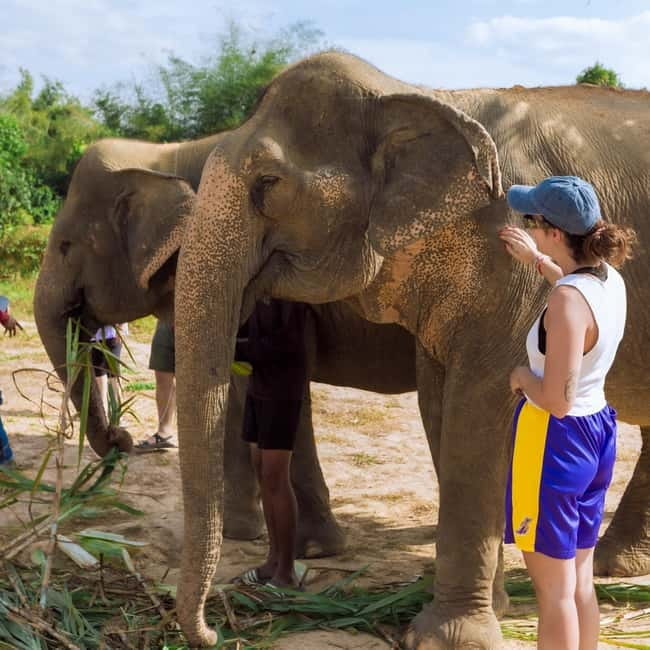 Cambodia Elephants Haft Day Experiences from Siem Reap - Viewpoint stop: a brief break for the eyes