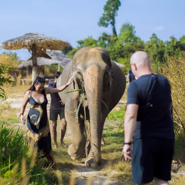 Cambodia Elephants Haft Day Experiences from Siem Reap - Price and value: what $97 gets you