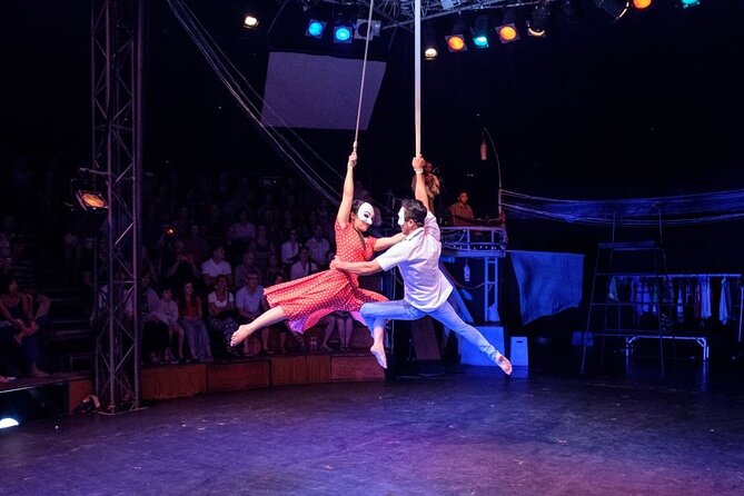 Cambodian Circus Show in Siem Reap by Phare with Hotel Pick-Up - The Phare Ponleu Selpak mission: why this show feels different