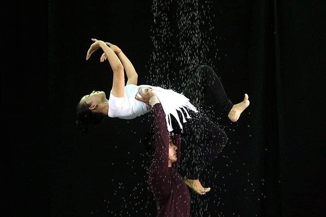 Cambodian Circus Show in Siem Reap by Phare with Hotel Pick-Up - Inside the show: high wire, trapeze, juggling, and live storytelling