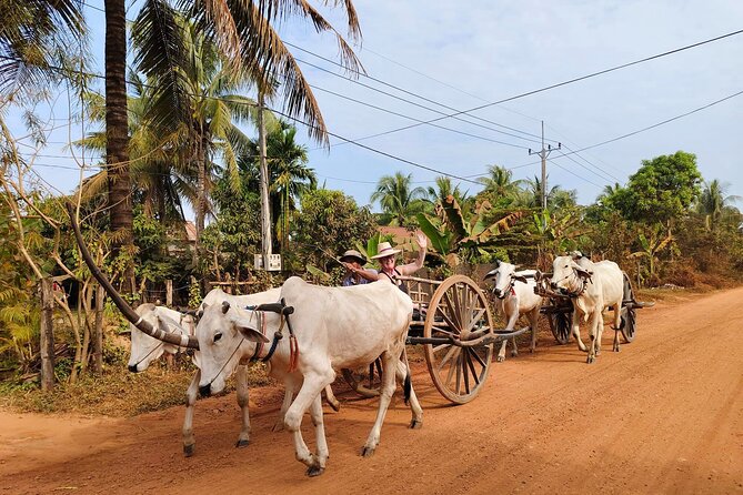 Cambodian Cooking Class and Oxcart Ride with Local Village Tour - Guide and Driver Team: Licensed English Support with Real Local Rhythm