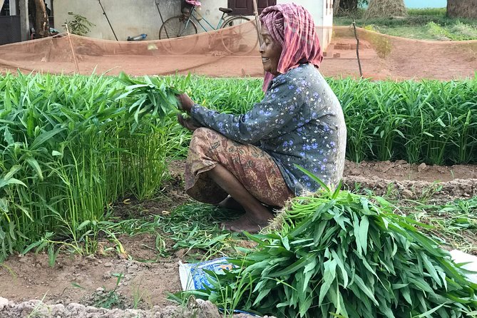 Cambodian Village Life Tour with Lady Tuk Tuk & Local Guide - Krabei Riel: gardens, farmers, and a village market moment