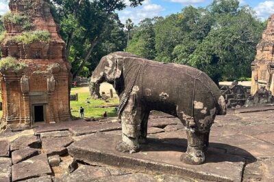 East Corner of Siem Reap - Roluos Group & Countryside - The Countryside Route: Rice Fields, Nature Reserve, and Real Life