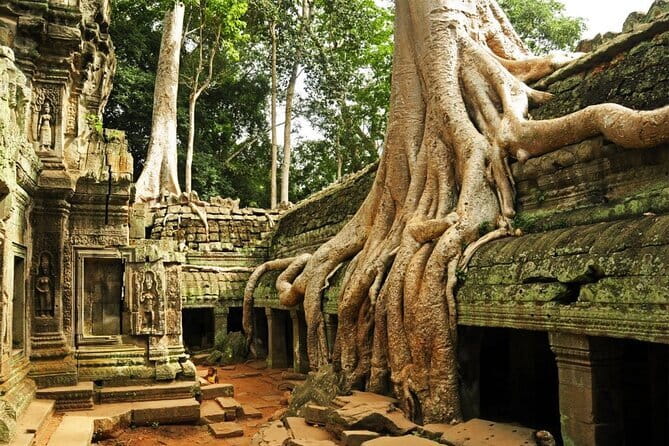 Exclusive Angkor temples and Small group temples tours - Key highlights I’d center your decision on