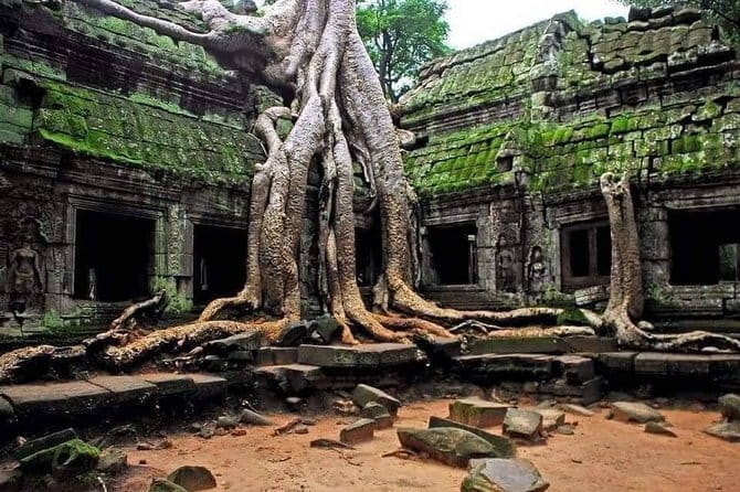 Explore Angkor Wat Sunrise Small Tour Private VIP Car - Why this sunrise tour works as a value play