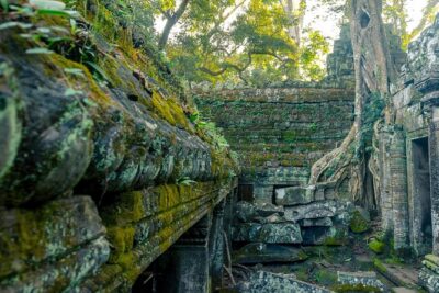 Explore Angkor Wat Temple , Bayon Temple and Jungle Temple Ta-Prohm - Ta Prohm’s fig-tree embrace: ruins held by nature