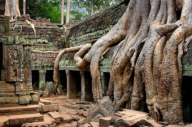Explore Angkor Wat Temple , Bayon Temple and Jungle Temple Ta-Prohm - Price and value: is $43 per person worth it?