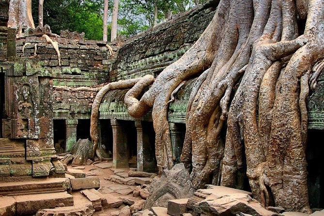 Explore Angkor Wat Temple , Bayon Temple and Jungle Temple Ta-Prohm - A realistic pacing plan for temples in the heat