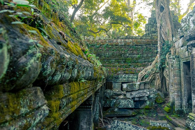 Explore Angkor Wat Temple , Bayon Temple and Jungle Temple Ta-Prohm - Ta Prohm’s fig-tree embrace: ruins held by nature