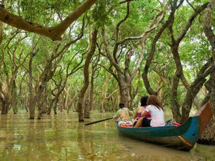 Floating Village-Mangroves Forest Tonle Sap Lake Boat Tour - Kampong Phluk and Tonlé Sap: Why This Boat Day Feels Personal