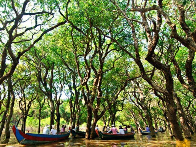 Floating Village-Mangroves Forest Tonle Sap Lake Boat Tour - Ticket Counter, Sightseeing Cruise, and Reaching Kampong Pluk