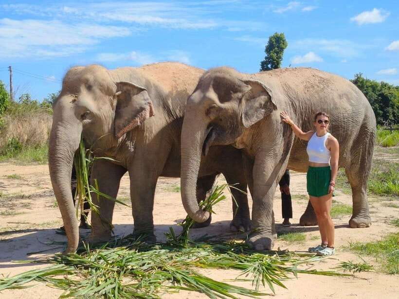 From Siem Reap: Elephant Sanctuary Experience with Transfers - Meeting the Sanctuary: Rescued Elephants and Clear Safety Rules