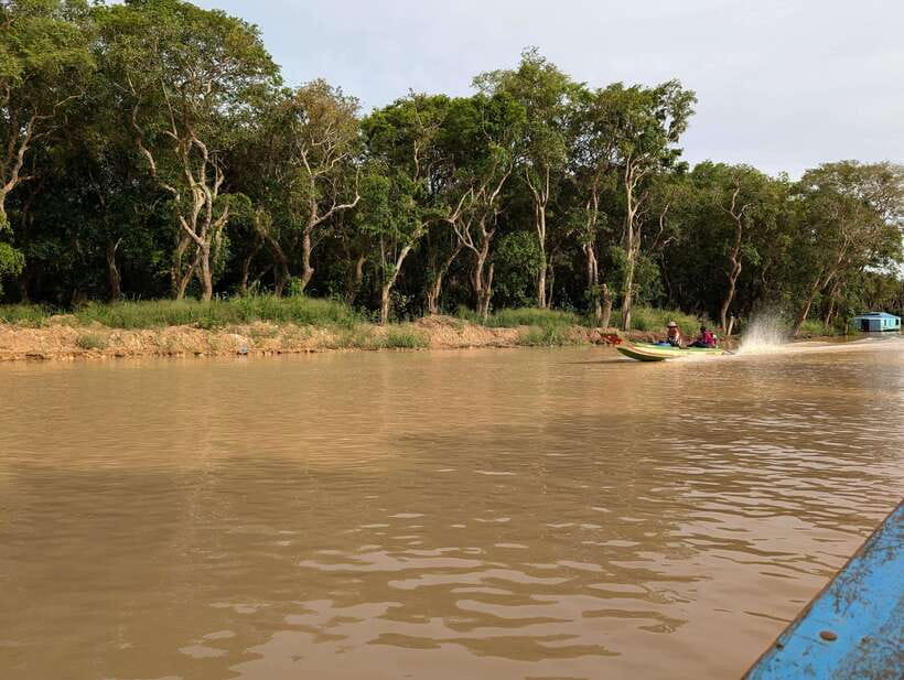 From Siem Reap: Floating Village Tour by Boat - Optional Rowing Boat in the Flooded Forest (Oct–Jan)