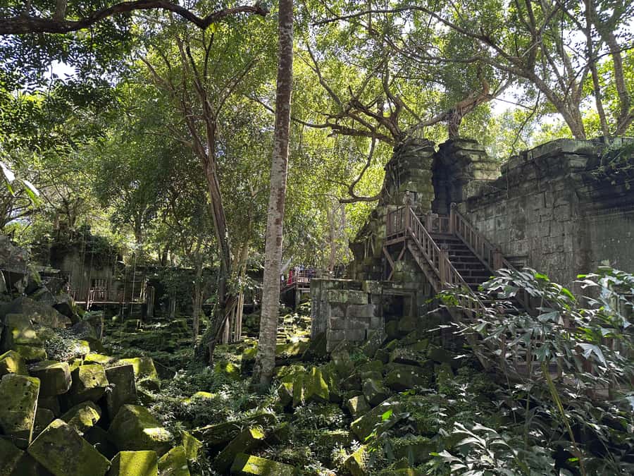 From Siem Reap: Half-Day Tour to Beng Mealea Temple - The Khmer Temple Story You’ll Actually See in the Stones