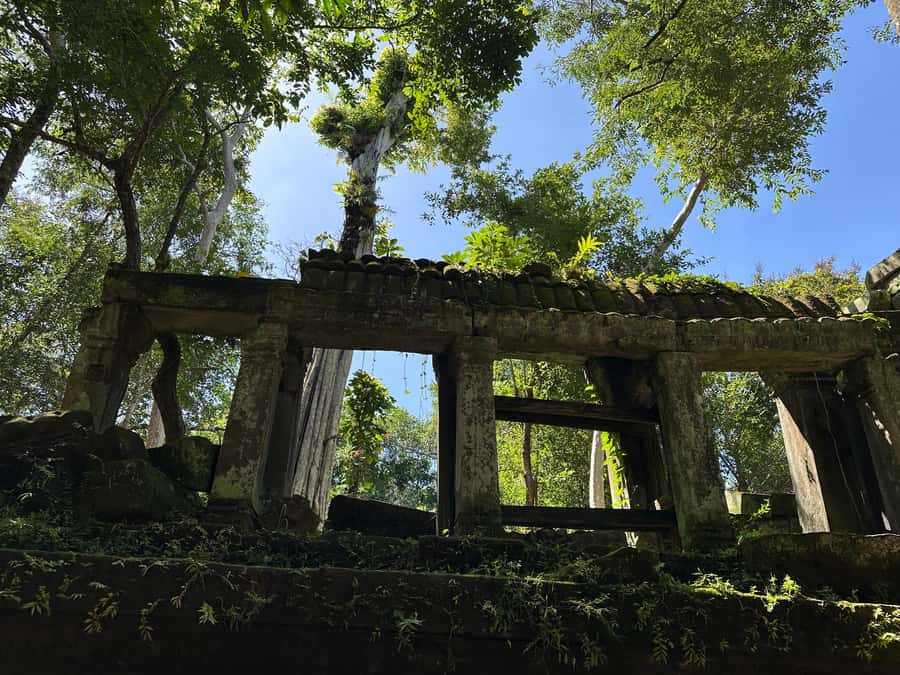 From Siem Reap: Half-Day Tour to Beng Mealea Temple - What to Wear and Pack for Jungle Ruins