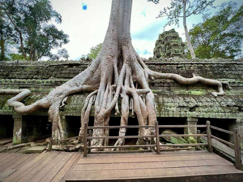 Full Day Private of Angkor Wat Tour with Tuk Tuk - Ta Prohm: Giant Roots, Classic Photos, and a Slower Pace