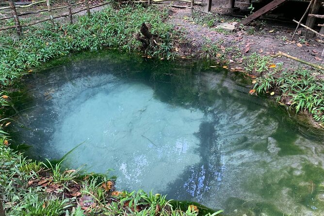 Full-Day Private Tour Phnom Kulen and Waterfalls - Price and What $115 Buys (Plus the Phnom Kulen Ticket Reality)