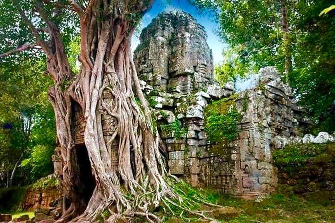 Full-day Private VIP Tour to Angkor Complex - Why this private VIP Angkor tour feels worth it