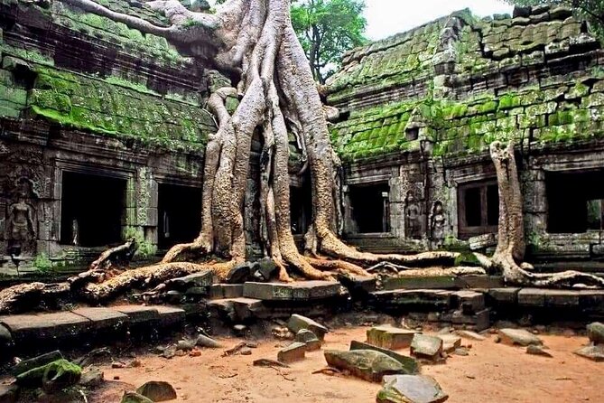Full-day Private VIP Tour to Angkor Complex - Phimeanakas: a palace enclosure moment