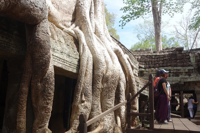 Full-Day Siem Reap Angkor Major Temples Private Tour - Ta Prohm: tree roots, movie vibes, and why 1 hour is the sweet spot