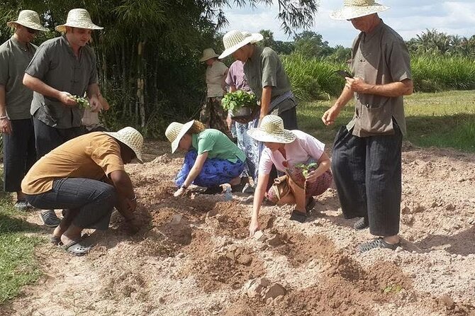 Full Day Siem Reap Farm Tour with Cooking Class and Monk Blessing - Khmer clothes, muddy moments, and respectful participation