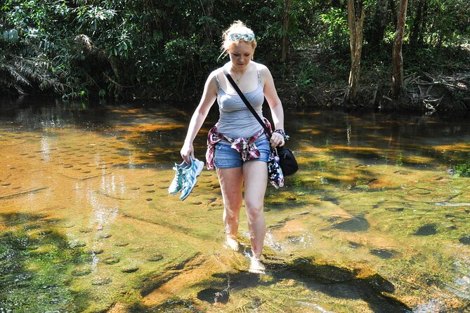 Full Day to Banteay Srei, Kulen National Park and Beng Mealea - Beng Mealea: Suryavarman II and the Temple Left to Nature