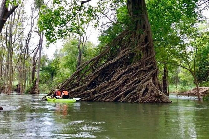 Full Day Tour from Siem Reap - Bamboo Train, Killing Cave & Sunset - Price and value: what $130 is really paying for