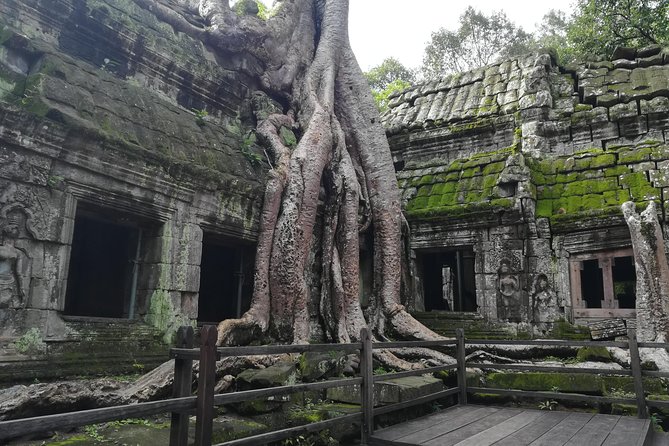 Half Day Angkor Wat Sunrise Private Tour - Angkor Wat Sunrise With a 4:30 am Pickup